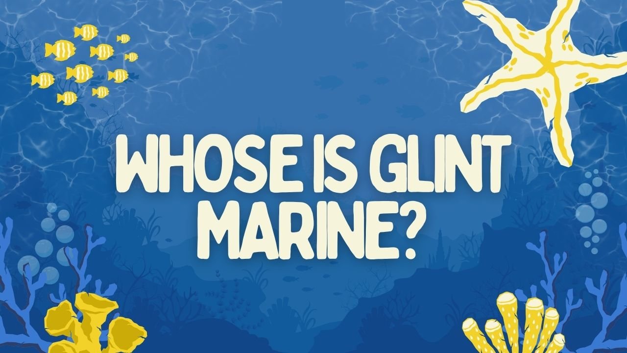 Whose is Glint Marine?